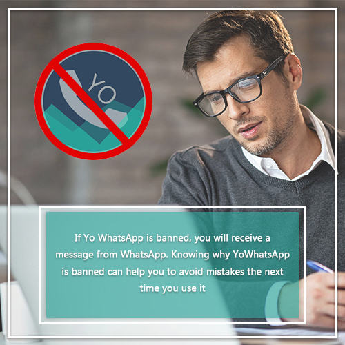 Is your Yo WhatsApp banned? Do you know why?