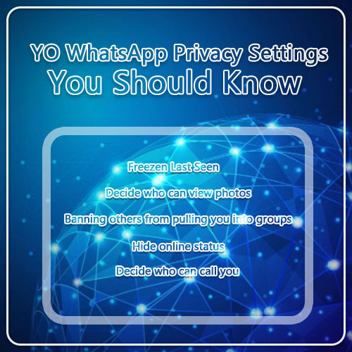 YO WhatsApp Privacy Settings 