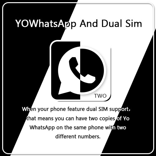 YO WhatsApp and dual sim