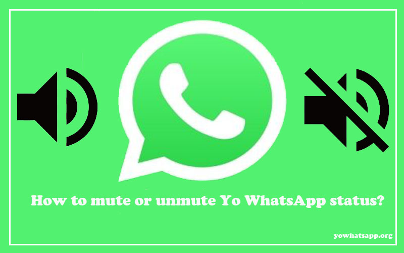 How to mute or unmuteYo WhatsApp status?