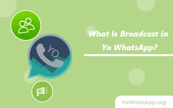 broadcast in yo whatsapp