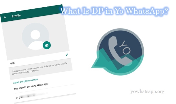 dp in yo whatsapp