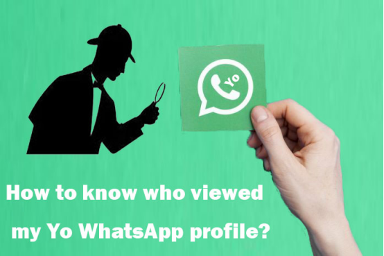 How to know who viewed my Yo WhatsApp profile?